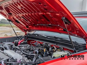 Toyota Tacoma Hood Struts - Hydraulic - Rough Country Toyota Tacoma Hood Struts - Hydraulic - Rough Country